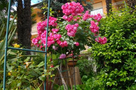 Appartamento Ines foto 2