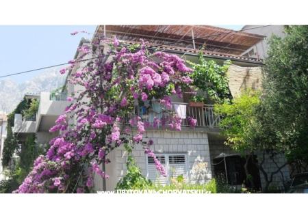 Appartamenti KATE Makarska Croazia