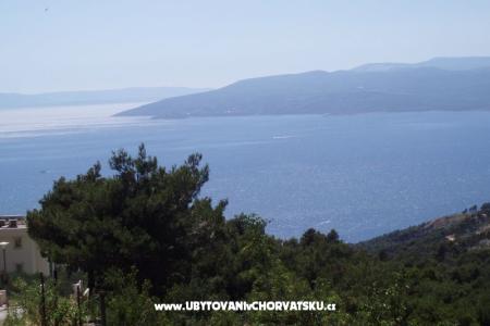 Appartamenti Mileta foto 3
