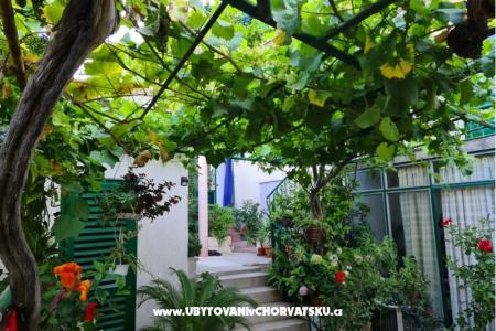 Appartamenti Vinea foto 2