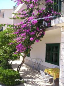 Appartamenti Villa Luce foto 2