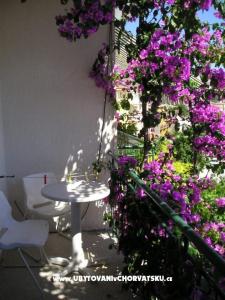 Appartamenti Villa Luce foto 3