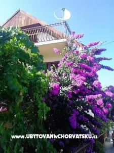 Casa Marino – Marina - Trogir Croazia