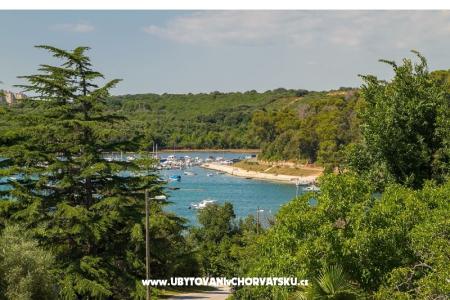 Appartamenti Tony foto 3