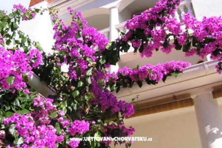 Appartamenti Paloma blanca - Oaza Reg foto 2