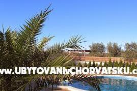 Casa Oliva foto 4