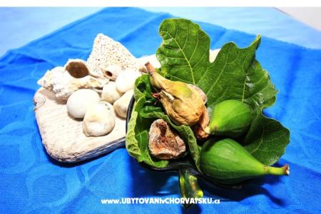 Appartamento Dino Murter foto 2