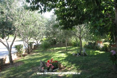 Appartamenti Baras foto 4