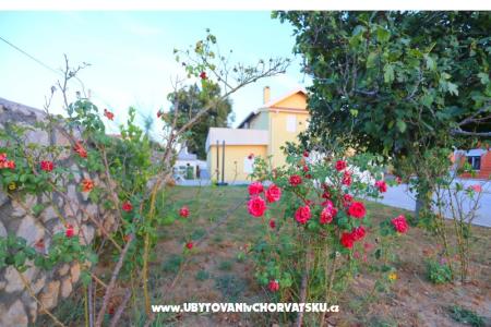 Appartamento Novak Rudic foto 2