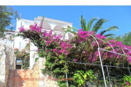 Appartamento-hotel MacAdams foto 3