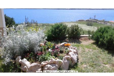 Appartamenti Ante foto 5