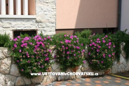 Appartamenti Grga foto 5