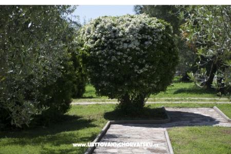 Sanja Appartamenti Novigrad foto 3