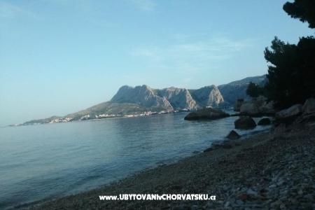 Appartamento 1 foto 5