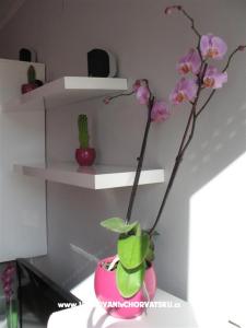 Appartamento Ivančica foto 3