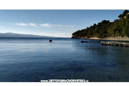 Appartamenti Ruža foto 3