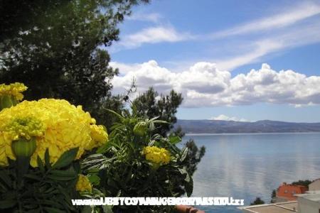 Appartamenti Tice foto 5