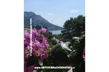 Appartamenti Vinka Saric foto 2