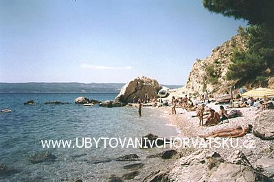 Appartamenti Celic foto 3