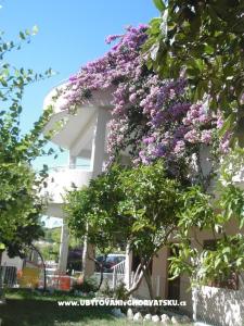 Villa Marko, Stanići foto 3