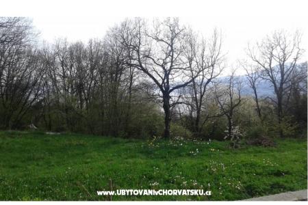 Appartamento AS ROYAL foto 4