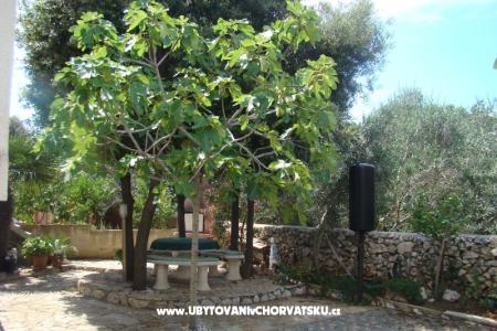 Appartamenti Mandre foto 2