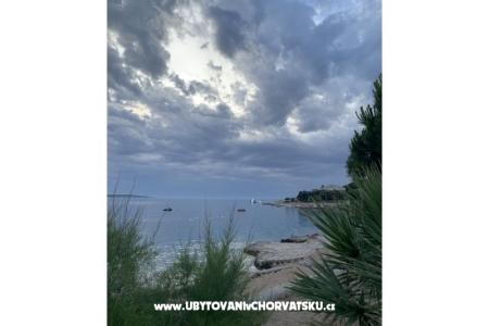 Appartamenti Mandre foto 5