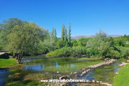 Appartamenti Tomic foto 3