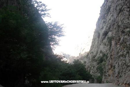 Appartamenti vesela foto 5