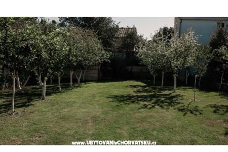 Appartamenti Ivišić foto 5