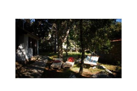 Pine Villa foto 3