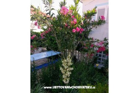 Appartamenti Marija-Tkon foto 3