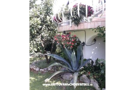 Appartamenti Lokva foto 4