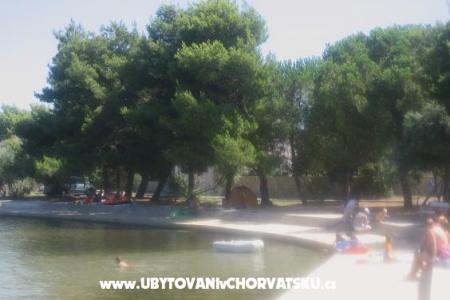 Appartamenti Maslina foto 4