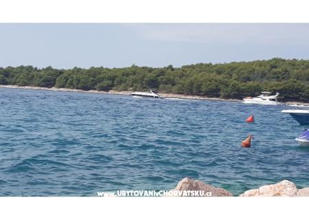 Appartamenti Ždrelac foto 4