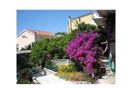 Appartamenti - Minka i Vite Podgora Croazia