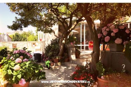 Appartamenti & Camere Tomas foto 4
