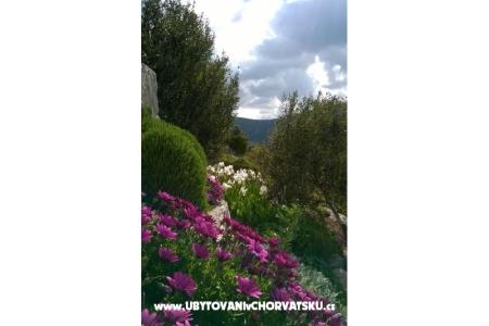 Appartamenti   Luka foto 5