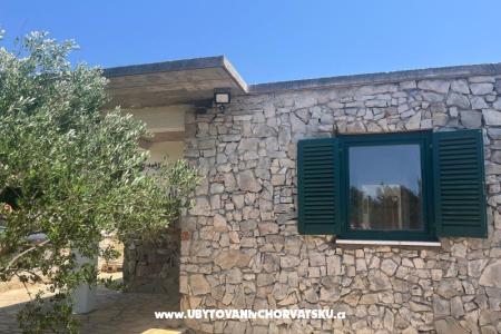 Olive grove foto 2