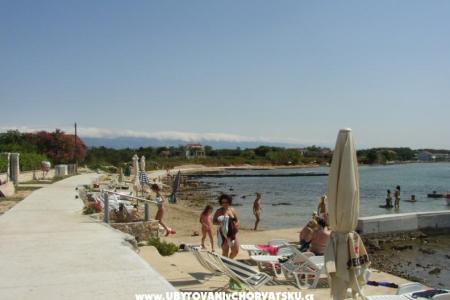 Appartamenti Villa Goga  foto 2