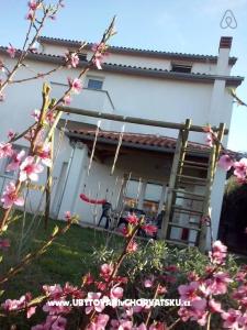 Appartamento Green garden foto 2