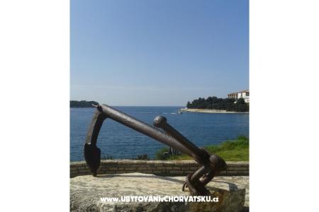 Appartamenti Ivana foto 3