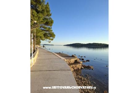 Appartamenti Palit Rab foto 3