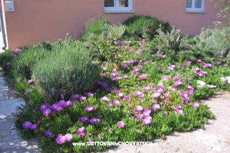 Appartamento Marina exclusive foto 3