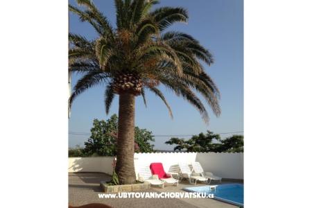 Appartamenti Anny con piscina foto 5