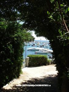 Appartamenti Malvina foto 3