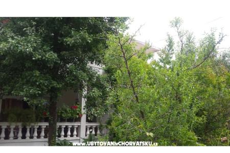 Arba foto 2