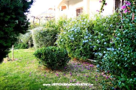 Casa Ivanić foto 2