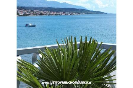 La Gatta Appartamenti foto 3