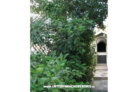 Appartamenti Villa Milakovic foto 4